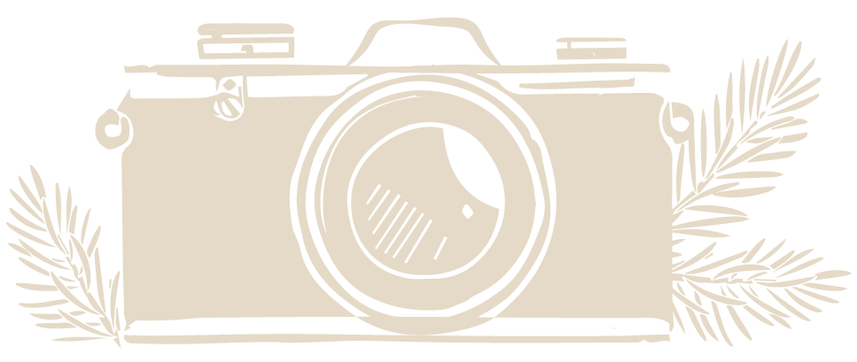 LAURA SAUVAGE_ILLUSTRATION_APPAREIL PHOTO_PARCHEMIN